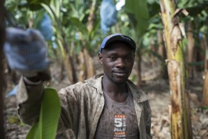 Banana prices have halved while production costs have doubled. Josue Rifat, ASOARAC banana cooperative, © James Rodriguez