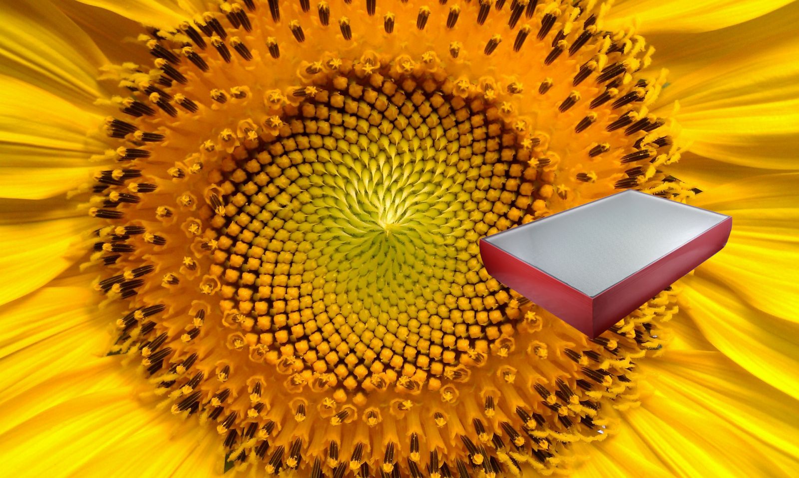 SOLARLIVE la revolución en sistemas solares térmicos compactos  Cuando la máxima eficiencia y la durabilidad en su sistema solar no es negociable