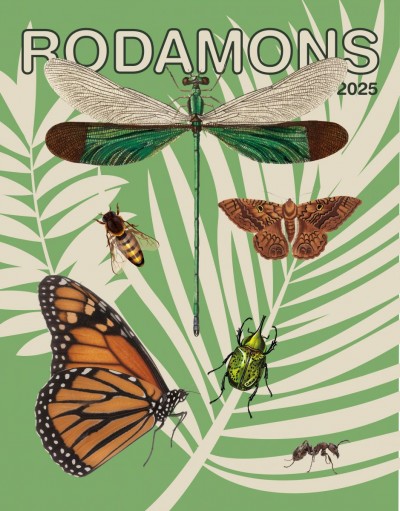 cartell rodamons