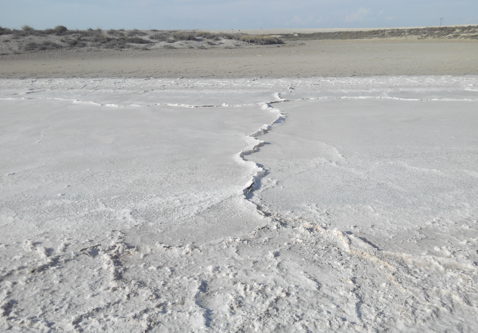 Freshwater streams and rivers are being polluted with salt •